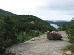 AcadiaNP-hike -042