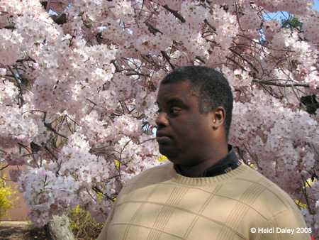 DC Cherry Blossoms 2008 -013