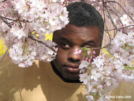 DC Cherry Blossoms 2008 -017
