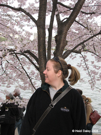 DC Cherry Blossoms 2008 -121