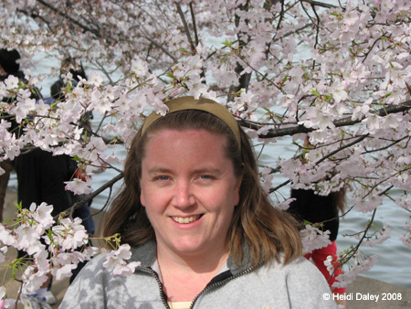 DC Cherry Blossoms 2008 -129