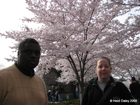 DC Cherry Blossoms 2008 -139