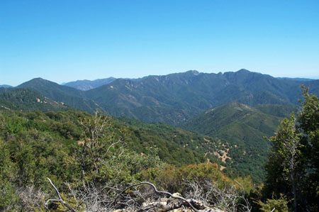 Devil's Peak Trail 2