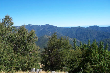 Devil's Peak Trail 9
