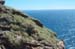 Point Reyes Views 11