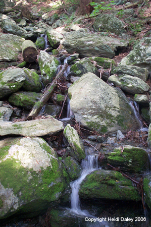 Water Fall on Bash Bish Falls Trail 1