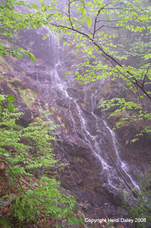 Waterfall on Trail to Brace Peak