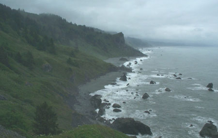 Redwoods National Park Vista 1